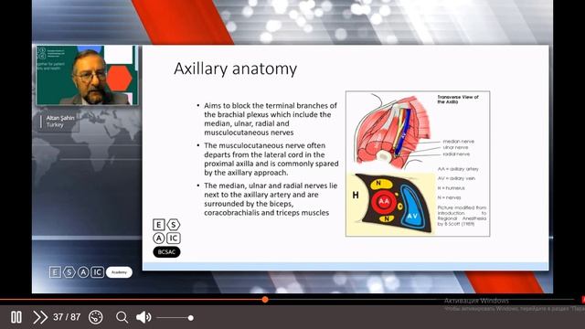 Regional Anesthesia And Analgesia