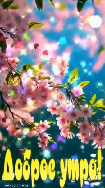 Доброе утро!) Великолепного дня!) #доброеутро
