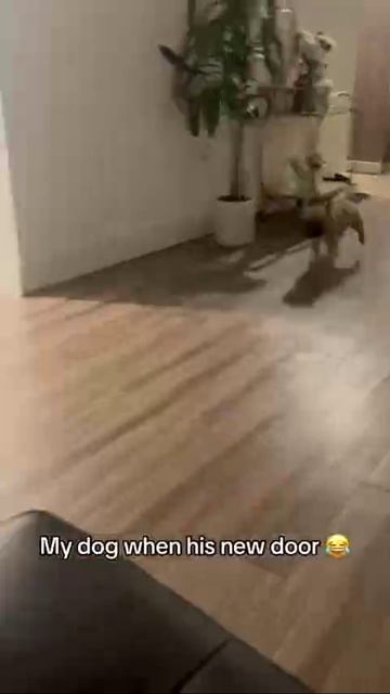 Хорошие двери