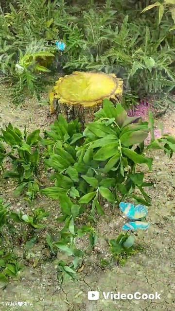 🦋🦋🦋🦋🦋🦋🦋🦋🦋🦋🦋🦋🦋