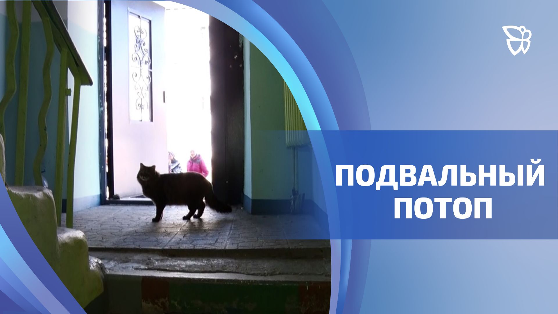 Коммунальное бедствие на Зерновой