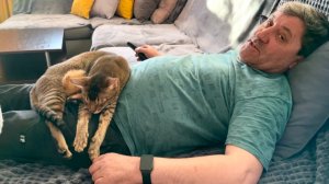 Влог/ Жизнь 3-х котов. Магазин Маяк. Покупки