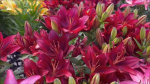 Таинственный день. Что вы можете потерять_