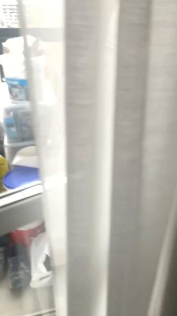 Кошки: лучший друг человека !