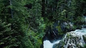 Сборник деревенских  историй_ Страшные истории про деревню_