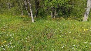 Мемориал Славы