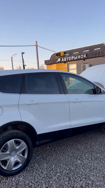 Ford KUGA, 2019