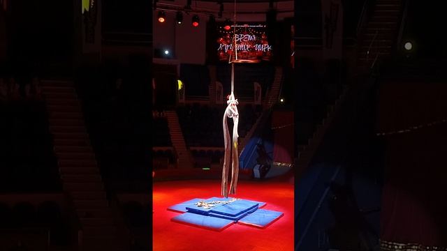 олькова Полина