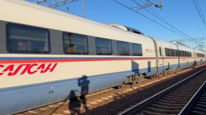 Сапсан на СПБ и электричка на Малую Вишеру