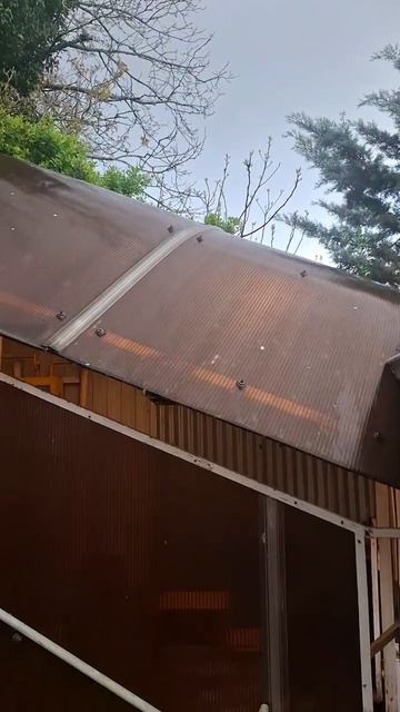 Дождь из нефти идёт в Туапсе — местные делятся кадрами необычных осадков.

Чёрная жижа покрыла машин