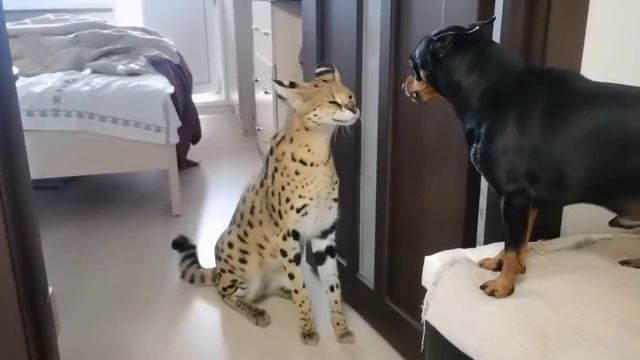 Воспитательный момент