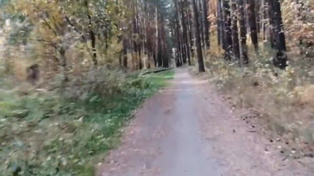 Осенний Заепарк 2022