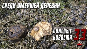 Полевые новости №33 | Поиск мест | Битый танк | EE88