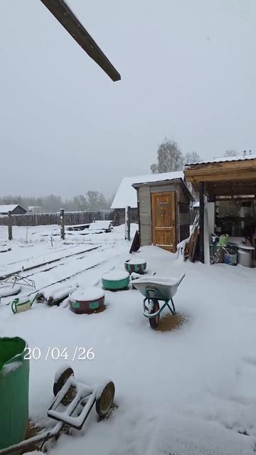 20.04.26г зима вернулась 😱  #зимавапреле #зимавернулась #опятьзима #опятьзимавернулась