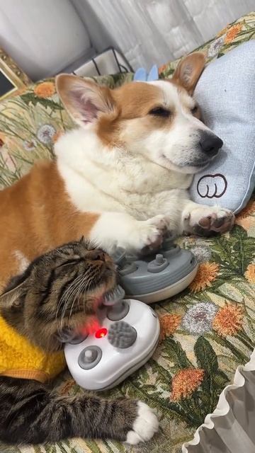 Не завидуйте 😋))