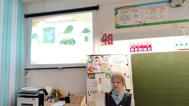 Ившина Ирина - «Почему листья меняют цвет»