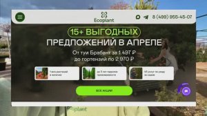 ЗАКАЗАТЬ ПО АКЦИИ! Вот почему садоводы ищут Экоплант на 50% чаще чем другие питомники растений