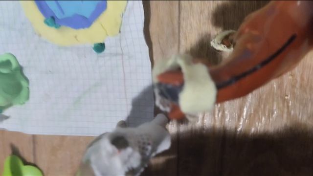 4 серия лошадь востока