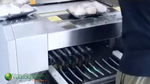 Машина для упаковки продуктов в пищевую пленку Вега/Vega VPM F900