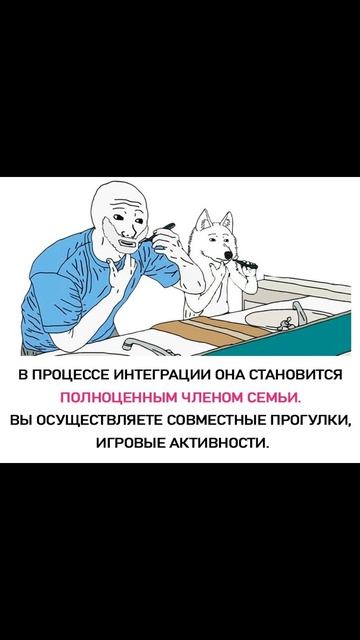 Лютые мемы. Взять на битву животное