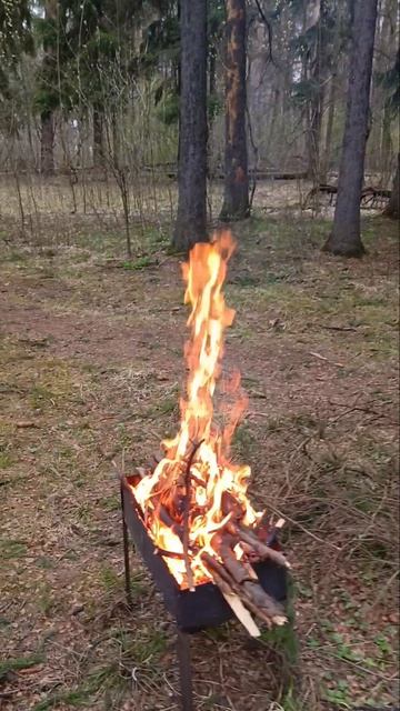 Барбекю по-Малаховски. Только для своих.