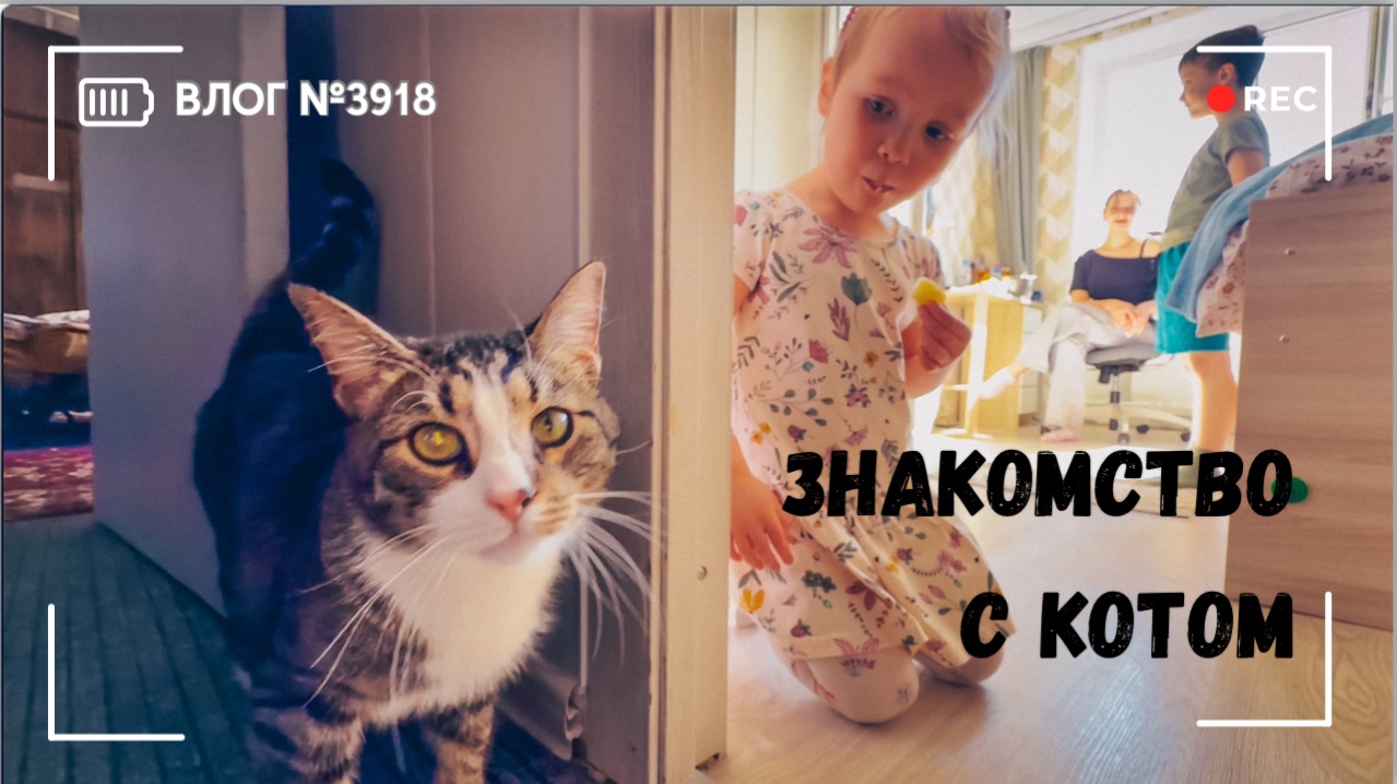 Знакомство с котом | Лепим вареники с Мариной - ВЛОГ №3918 - 19.04.26 - 18.04.26