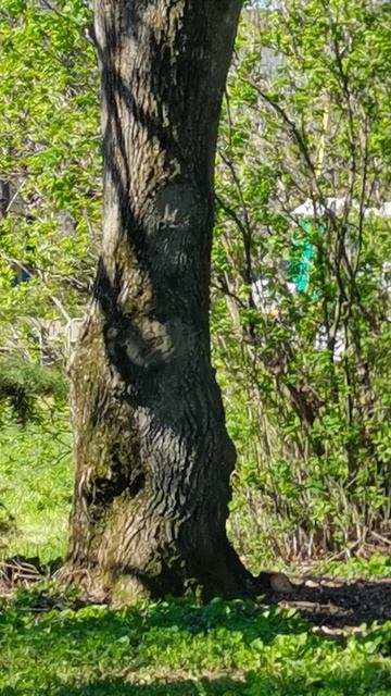 Развлечение. Приятное!