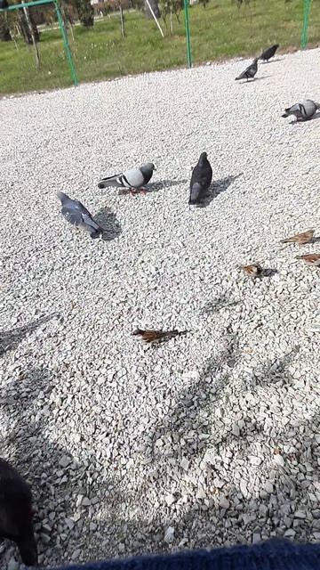 Ну и кто здесь самый смелый?