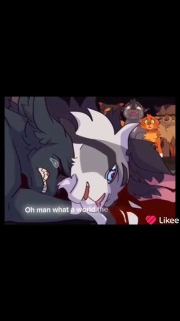 Коты-воители/Ласточка