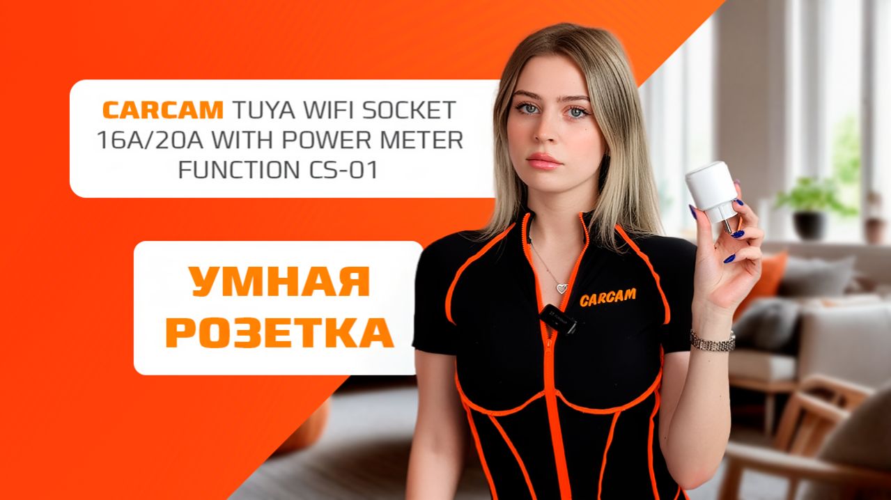 Умная розетка Carcam — обзор
