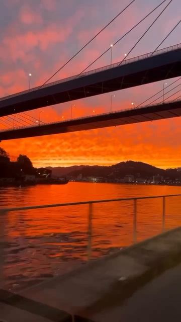 MOV_20260418_124445_549.mp4