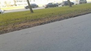 У сгоревшего Правобережного рынка в апреле 2026