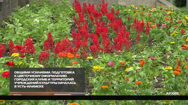 Общими усилиями 17-04-2026