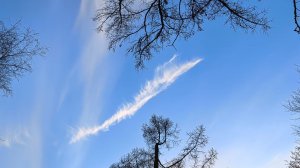 ЕЛАГИН остров. Природа просыпается