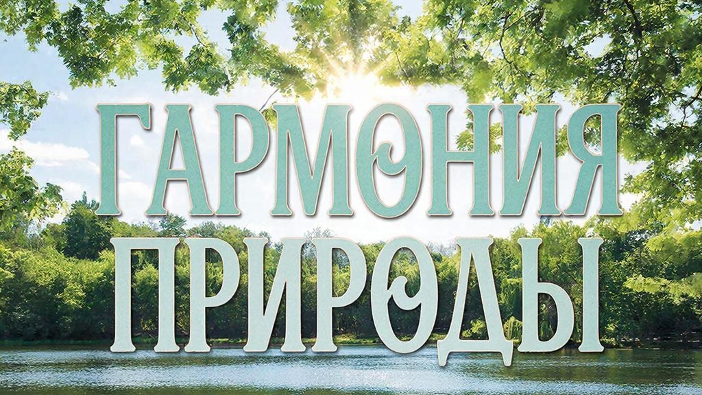 Гармония природы