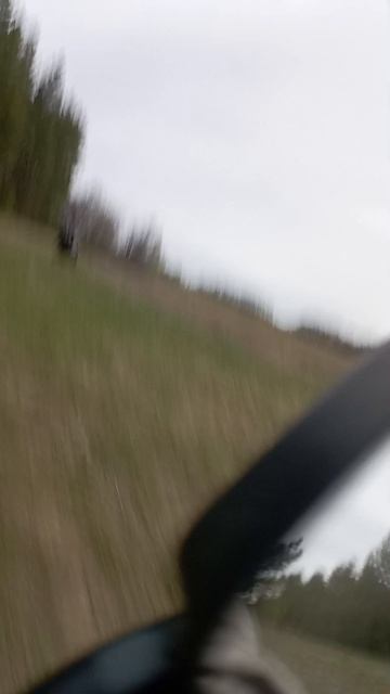 Поездка на мопедах