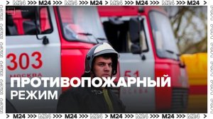 В Московской области ввели особый противопожарный режим