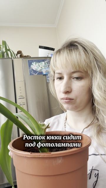 А ваши что скажут ? Арт на стимулятор развития корневой системы WB: #WW319045