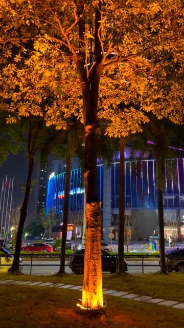 Грунтовой ландшафтный светильник для круговой подсветки колонн и деревьев серия SM и BS