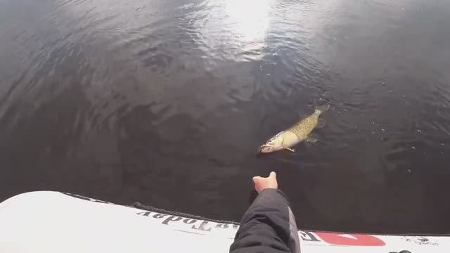 РЫБАЛКА НА СПИННИНГ ВЕСНОЙ. ЛОВЛЯ ЩУКИ И ОКУНЯ