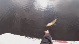 РЫБАЛКА НА СПИННИНГ ВЕСНОЙ. ЛОВЛЯ ЩУКИ И ОКУНЯ