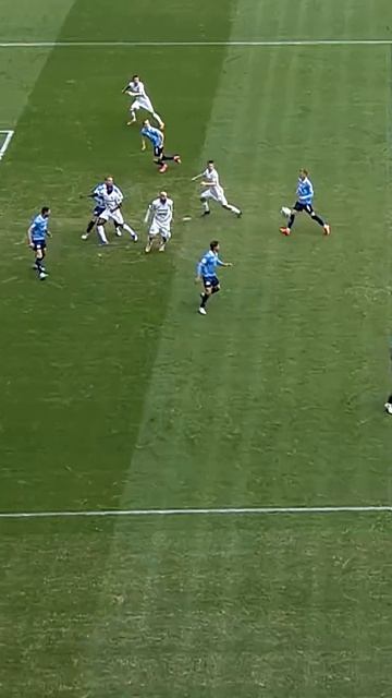 Забил не глядя  #МирРПЛ