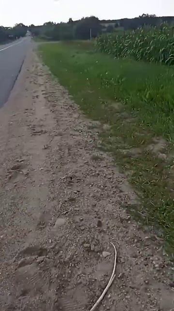 26 июля 2022 г.