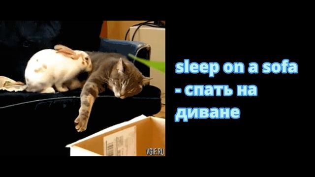 Английские фразы / Лёгкая лексика /  Sleep