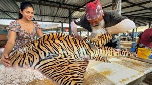 Коллекция рыбных нарезок. Потрясающая тигровая акула, акулий луч и много рыбы. Жизнь на Шри-Ланке