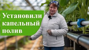Установили в теплицу капельный полив.