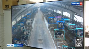 Белгородские ученые создали высокоточный метод распознания с/х животных при помощи нейросети