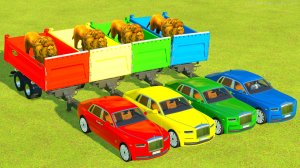 Для детей: ПЕРЕВОЗКА ЛЬВОВ В РАЗНОЦВЕТНЫХ ROLLS-ROYCE 1 ЧАСТЬ