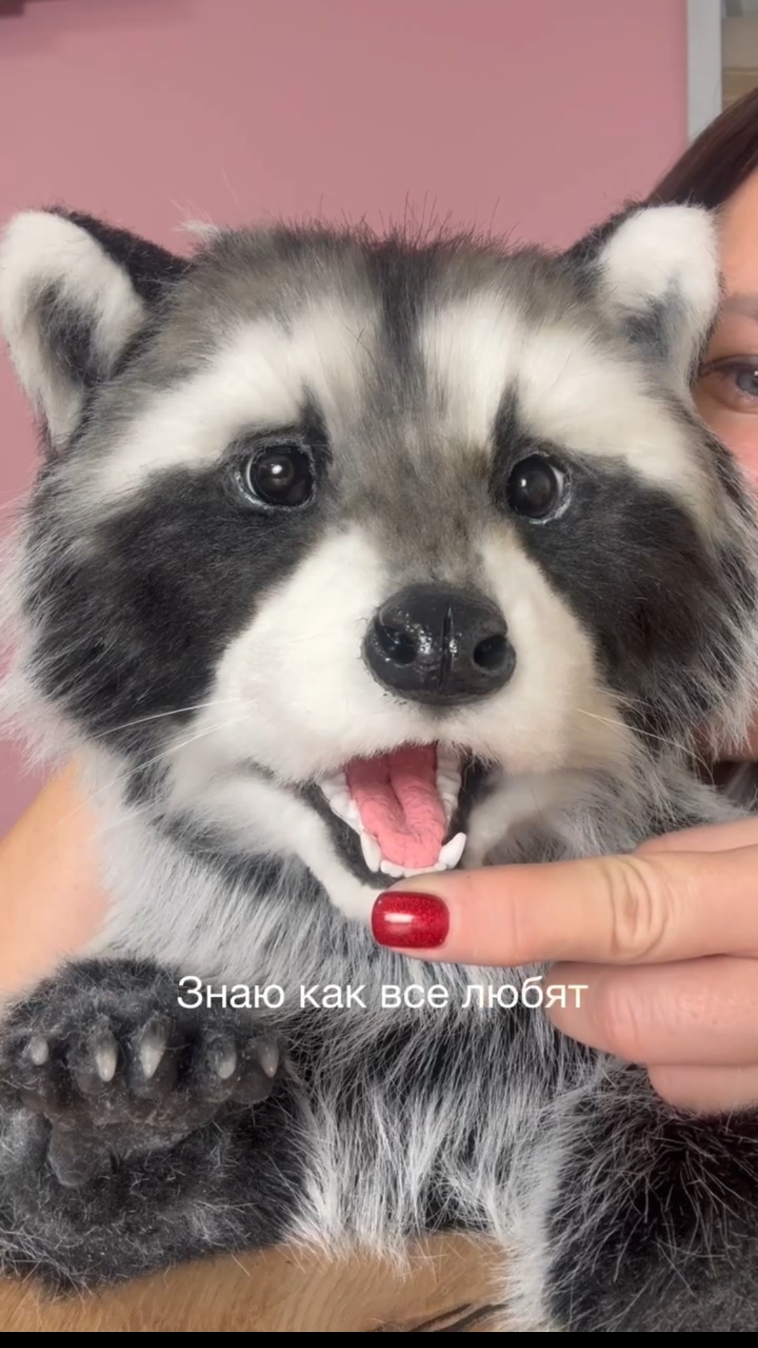 Енот из искусственного меха 😻