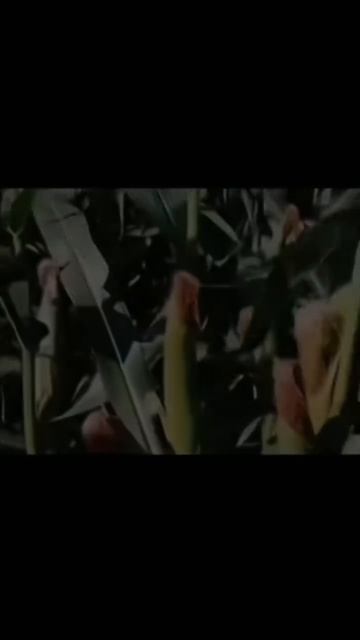 обзор часов